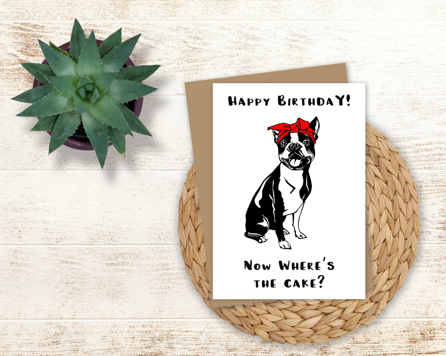 Boston Terrier Birthday Card