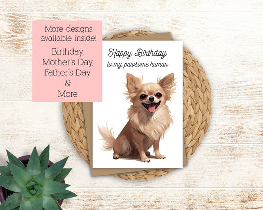 Chihuahua Greeting Card