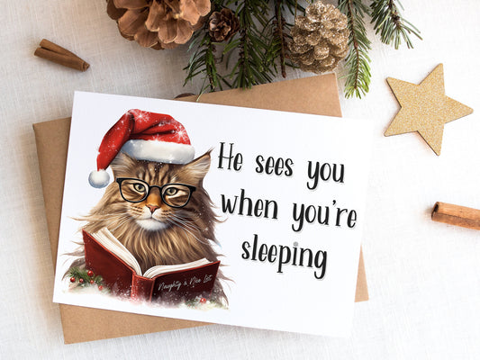 Maine Coon Cat Christmas Card