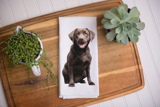 Chocolate lab on a kitchen tea towel as a gift.